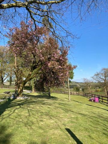 The Cottage Cork Bagian luar foto