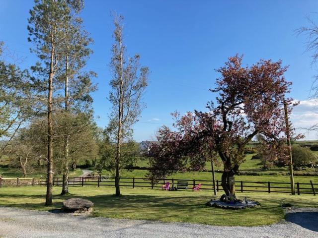 The Cottage Cork Bagian luar foto