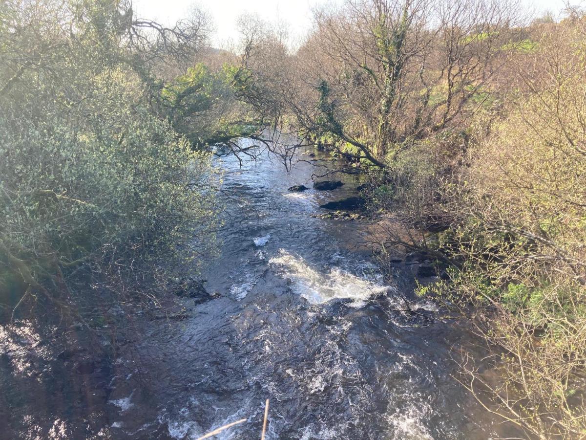 The Cottage Cork Bagian luar foto