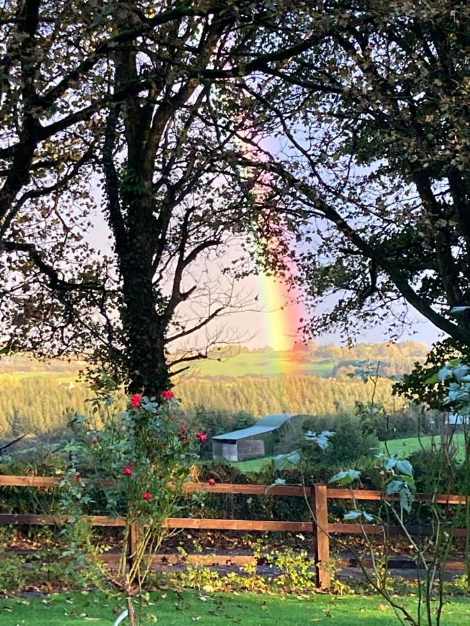 The Cottage Cork Bagian luar foto
